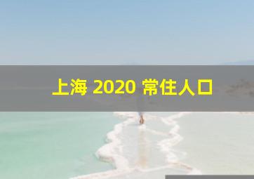 上海 2020 常住人口